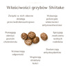 BIO Kawa z Shiitake Ra Hygge w ziarnach - ekologiczna, niskokwasowa z ekstraktem Shiitake (1kg)